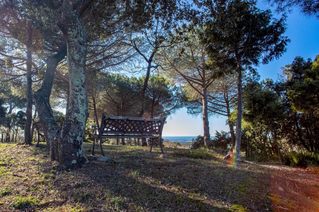 Hotel Glamping Debbiare à Riparbella Extérieur photo