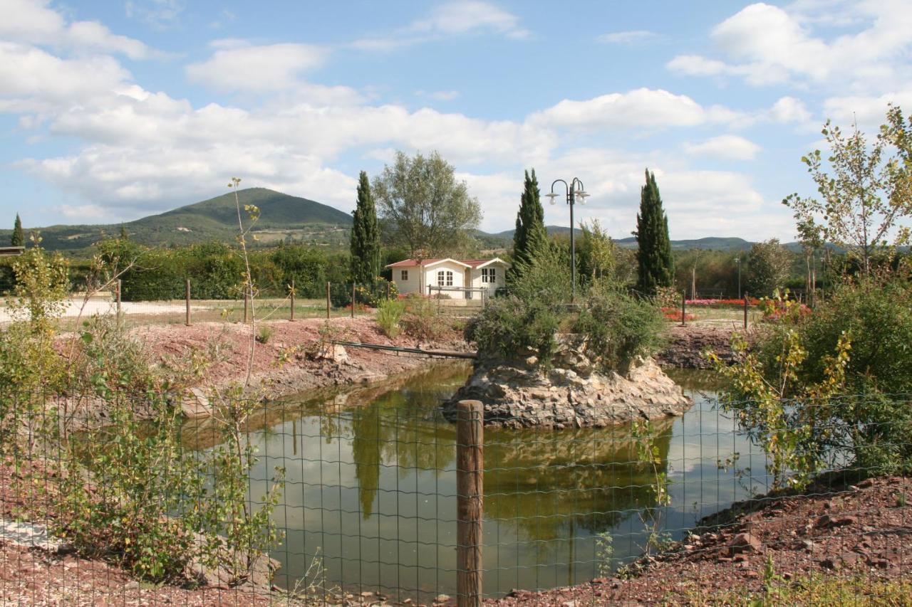 Hotel Glamping Debbiare à Riparbella Extérieur photo